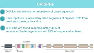 DNA loci containing short repetitions of base sequences.
Each repetition is followed by short segments of "spacer DNA" from
previous exposures to a virus.
CRISPRs are found in approximately 40% of
sequenced bacteria genomes and 90% of sequenced archaea.
CRISPRs
 