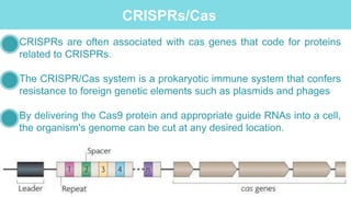 CRISPRs/Cas
CRISPRs are often associated with cas genes that code for proteins
related to CRISPRs.
The CRISPR/Cas system is a prokaryotic immune system that confers
resistance to foreign genetic elements such as plasmids and phages
By delivering the Cas9 protein and appropriate guide RNAs into a cell,
the organism's genome can be cut at any desired location.
 