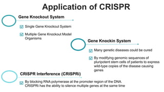 Application of CRISPR
By blocking RNA polymerase at the promoter region of the DNA.
CRISPRi has the ability to silence multiple genes at the same time
CRISPR Interference (CRISPRi)
Single Gene Knockout System
Multiple Gene Knockout Model
Organisms
Gene Knockout System
Many genetic diseases could be cured
By modifying genomic sequences of
pluripotent stem cells of patients to express
wild-type copies of the disease causing
genes
Gene Knockin System
 