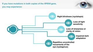 Night blindness (nyctalopia)
Loss of light
sensitivity
Loss of sharpness or
clarity of vision
Impaired dark
adaptation
Repetitive uncontrolled
movements of the
eye (nystagmus)
If you have mutations in both copies of the RPE65 gene,
you may experience:
 