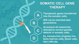 SOMATIC CELL GENE
THERAPY
Therapeutic genes transferred
into the somatic cells.
Will not be inherited later
generations.
At present all researches
directed to correct genetic
defects in somatic cells.
Ex. Introduction of genes into
bone marrow cells, blood cells,
skin cells etc.
A
B
C
D
 