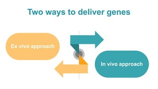 Two ways to deliver genes
In vivo approach
Ex vivo approach
 
