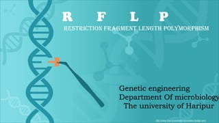 http://www.free-powerpoint-templates-design.com
Genetic engineering
Department Of microbiology
The university of Haripur
 