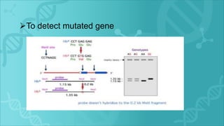 To detect mutated gene
 