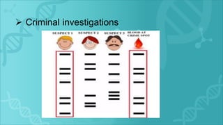  Criminal investigations
 