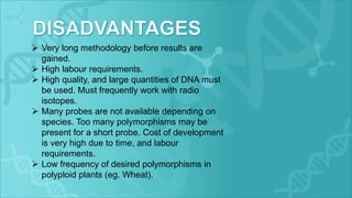  Very long methodology before results are
gained.
 High labour requirements.
 High quality, and large quantities of DNA must
be used. Must frequently work with radio
isotopes.
 Many probes are not available depending on
species. Too many polymorphisms may be
present for a short probe. Cost of development
is very high due to time, and labour
requirements.
 Low frequency of desired polymorphisms in
polyploid plants (eg. Wheat).
 