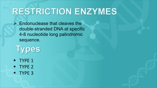  Endonuclease that cleaves the
double-stranded DNA at specific
4-8 nucleotide long palindromic
sequence.
 TYPE 1
 TYPE 2
 TYPE 3
 