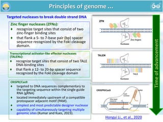 Tale Dna Binding Genome editing Assemu final.pptx