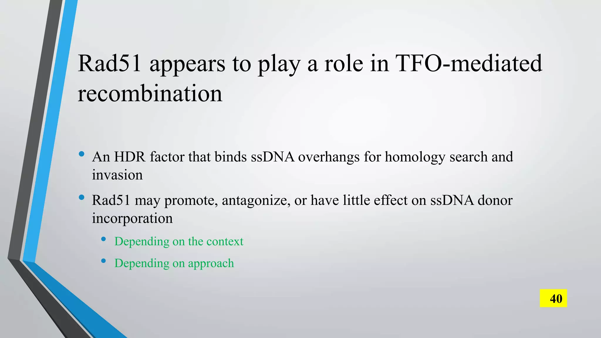 Rad51 appears to play a role in TFO-mediated
recombination
• An HDR factor that binds ssDNA overhangs for homology search and
invasion
• Rad51 may promote, antagonize, or have little effect on ssDNA donor
incorporation
• Depending on the context
• Depending on approach
40
 