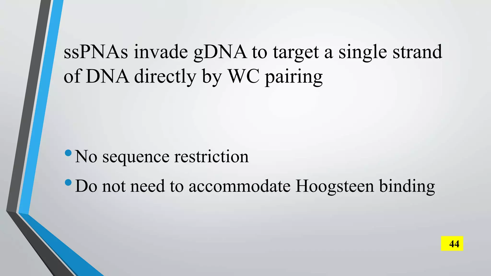 ssPNAs invade gDNA to target a single strand
of DNA directly by WC pairing
•No sequence restriction
•Do not need to accommodate Hoogsteen binding
44
 