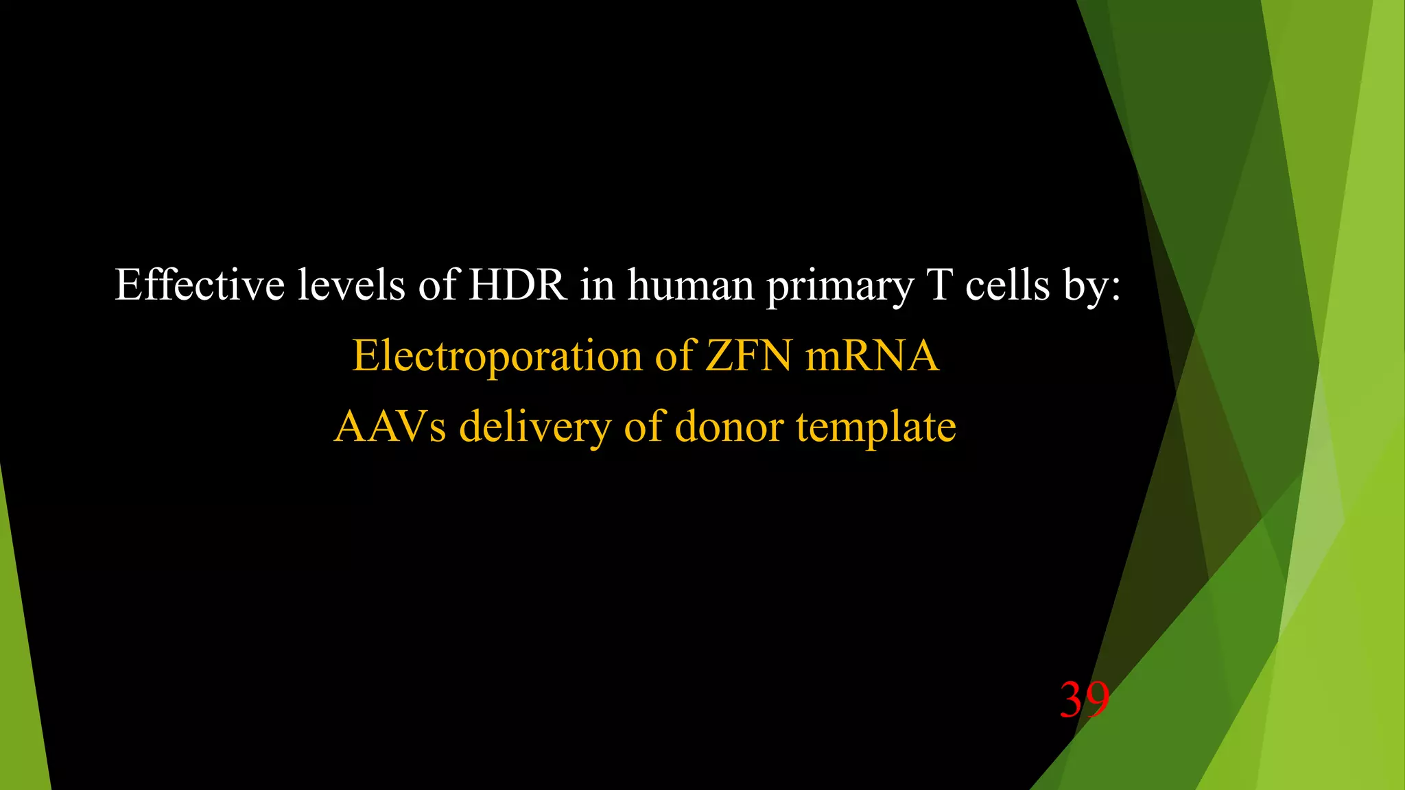 Effective levels of HDR in human primary T cells by:
Electroporation of ZFN mRNA
AAVs delivery of donor template
39
 