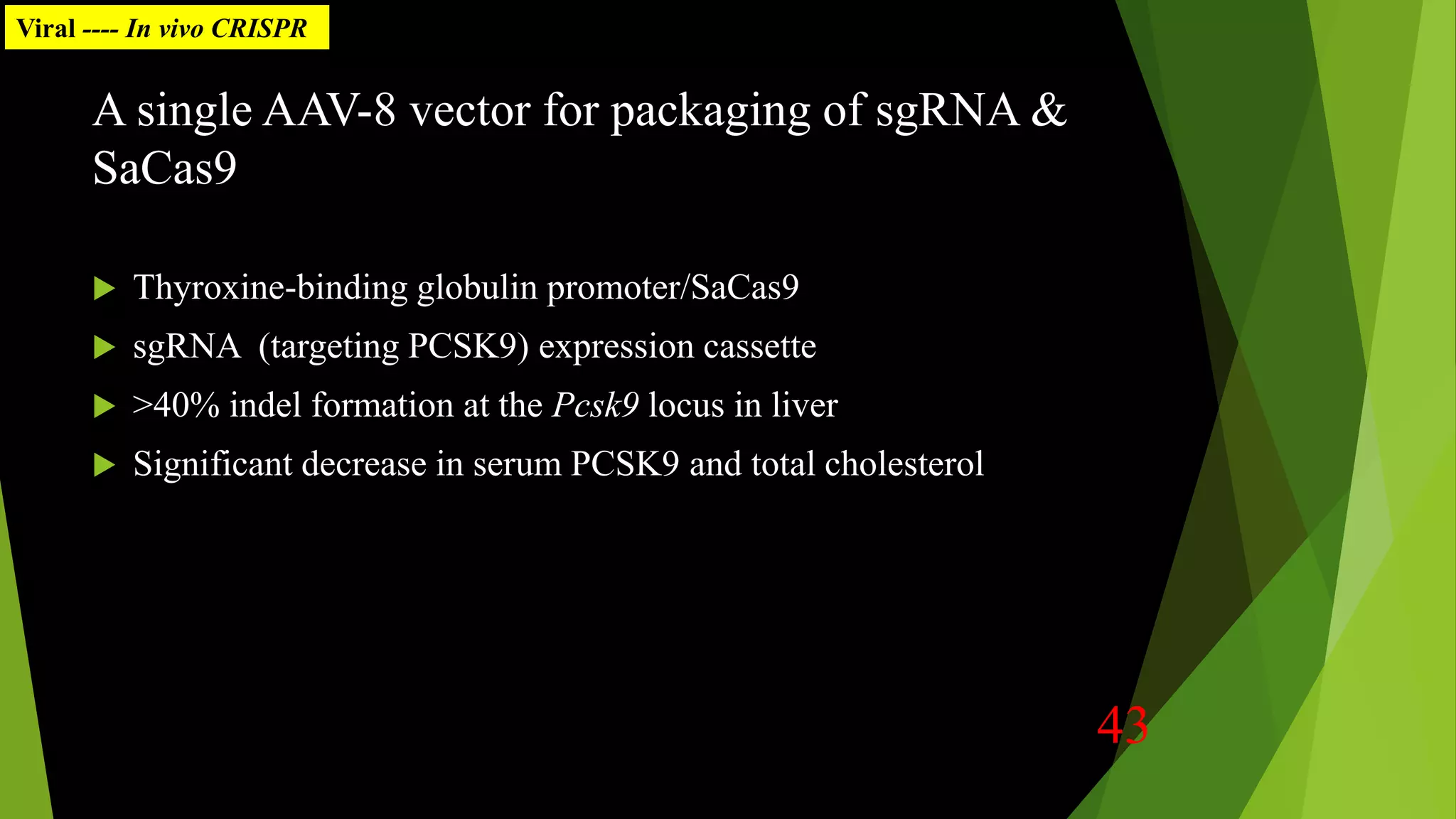 A single AAV-8 vector for packaging of sgRNA &
SaCas9
 Thyroxine-binding globulin promoter/SaCas9
 sgRNA (targeting PCSK9) expression cassette
 >40% indel formation at the Pcsk9 locus in liver
 Significant decrease in serum PCSK9 and total cholesterol
Viral ---- In vivo CRISPR
43
 
