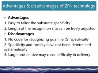 • Advantages
1. Easy to tailor the substrate specificity
2. Length of the recognition site can be freely adjusted
• Disadvantages
1. No code for recognizing guanine (G) specifically
2. Specificity and toxicity have not been determined
systematically
3. Large protein size may cause difficulty in delivery
Advantages & disadvantages of ZFN technology
 