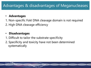 • Advantages
1. Non-specific FokI DNA cleavage domain is not required
2. High DNA cleavage efficiency
• Disadvantages
1. Difficult to tailor the substrate specificity
2. Specificity and toxicity have not been determined
systematically
Advantages & disadvantages of Meganucleases
 
