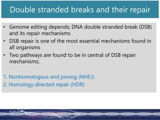 Double stranded breaks and their repair
• Genome editing depends; DNA double stranded break (DSB)
and its repair mechanisms
• DSB repair is one of the most essential mechanisms found in
all organisms
• Two pathways are found to be in central of DSB repair
mechanisms;
1. Nonhomologous end joining (NHEJ)
2. Homology directed repair (HDR)
 