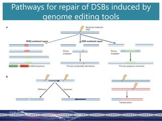 Pathways for repair of DSBs induced by
genome editing tools
 