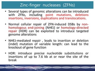 • Several types of genomic alterations can be introduced
with ZFNs, including point mutations, deletions
insertions, inversions, duplications and translocations.
• Normal cellular repair of ZFN-induced DSBs by non-
homologous end-joining (NHEJ) or homology-directed
repair (HDR) can be exploited to introduce targeted
genome alterations
• NHEJ-mediated repair , leads to insertion or deletion
(indel) mutation of variable length: can lead to the
knockout of gene function
• HDR: introduce precise nucleotide substitutions or
insertions of up to 7.6 kb at or near the site of the
break
Zinc-finger nucleases (ZFNs)
 