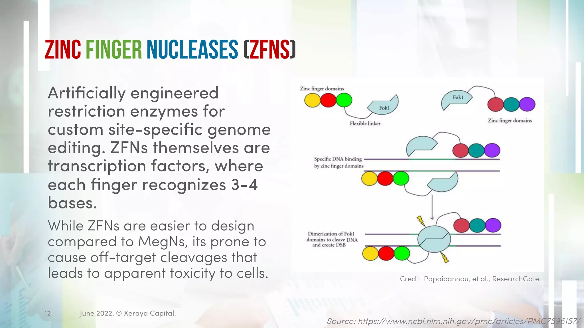 Zinc finger Nucleases (ZFNs)
Artificially engineered
restriction enzymes for
custom site-specific genome
editing. ZFNs themselves are
transcription factors, where
each finger recognizes 3-4
bases.
While ZFNs are easier to design
compared to MegNs, its prone to
cause off-target cleavages that
leads to apparent toxicity to cells.
Source: https://www.ncbi.nlm.nih.gov/pmc/articles/PMC7596157/
Credit: Papaioannou, et al., ResearchGate
June 2022. © Xeraya Capital.
12