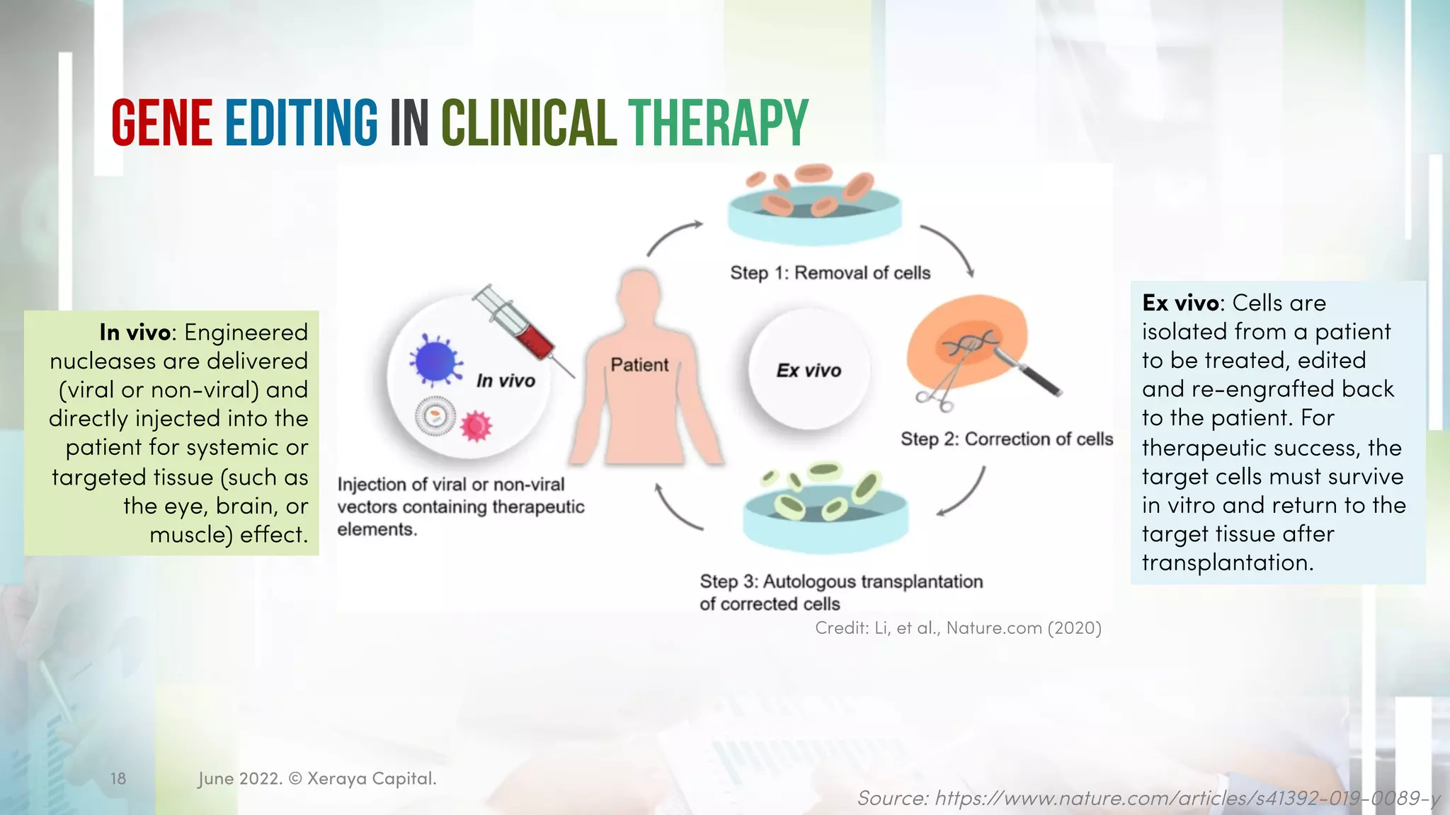 Gene Editing in Clinical Therapy
June 2022. © Xeraya Capital.
18
Source: https://www.nature.com/articles/s41392-019-0089-y
Ex vivo: Cells are
isolated from a patient
to be treated, edited
and re-engrafted back
to the patient. For
therapeutic success, the
target cells must survive
in vitro and return to the
target tissue after
transplantation.
In vivo: Engineered
nucleases are delivered
(viral or non-viral) and
directly injected into the
patient for systemic or
targeted tissue (such as
the eye, brain, or
muscle) effect.
Credit: Li, et al., Nature.com (2020)
