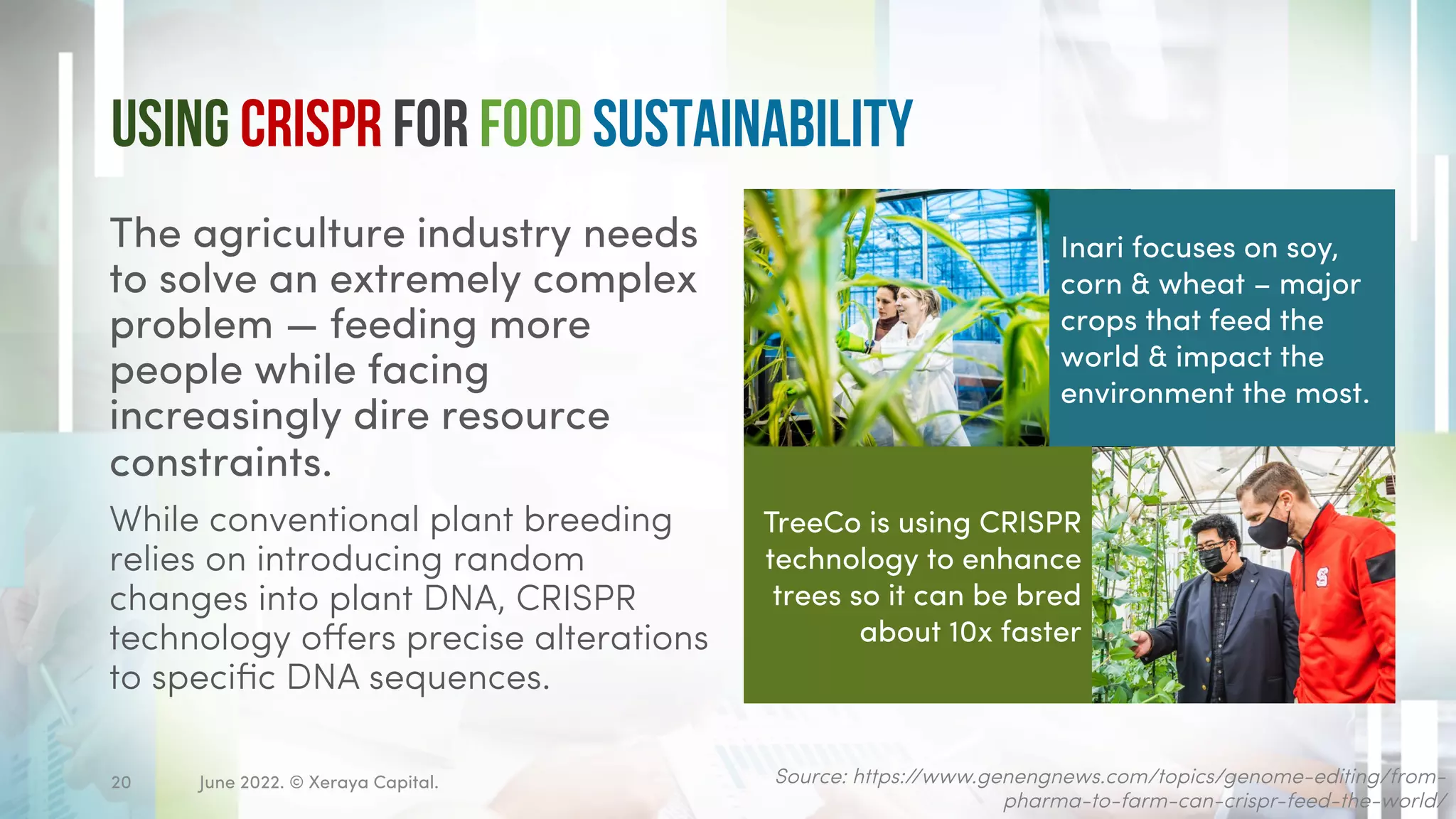 Using CRISPR for food sustainability
The agriculture industry needs
to solve an extremely complex
problem — feeding more
people while facing
increasingly dire resource
constraints.
While conventional plant breeding
relies on introducing random
changes into plant DNA, CRISPR
technology offers precise alterations
to specific DNA sequences.
Source: https://www.genengnews.com/topics/genome-editing/from-
pharma-to-farm-can-crispr-feed-the-world/
June 2022. © Xeraya Capital.
20
Inari focuses on soy,
corn & wheat – major
crops that feed the
world & impact the
environment the most.
TreeCo is using CRISPR
technology to enhance
trees so it can be bred
about 10x faster