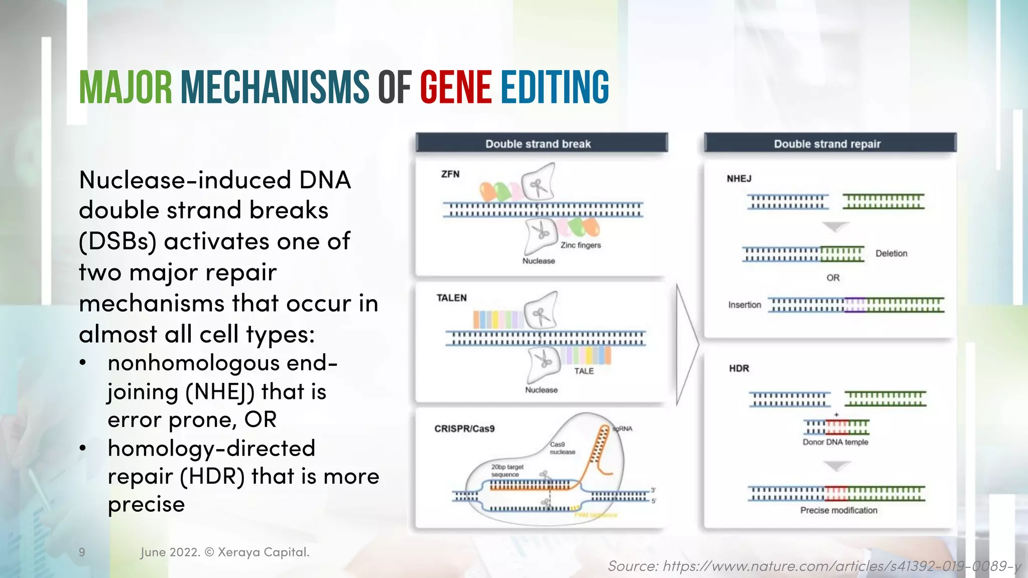 Major Mechanisms of Gene Editing
June 2022. © Xeraya Capital.
9
Source: https://www.nature.com/articles/s41392-019-0089-y
Nuclease-induced DNA
double strand breaks
(DSBs) activates one of
two major repair
mechanisms that occur in
almost all cell types:
• nonhomologous end-
joining (NHEJ) that is
error prone, OR
• homology-directed
repair (HDR) that is more
precise