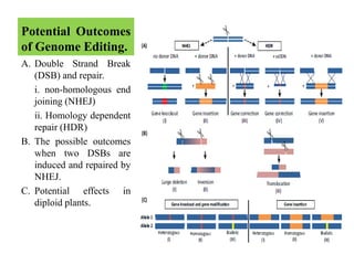 Genome editing technology future dynamic for crop improvement | PPTX