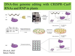 Genome editing technology future dynamic for crop improvement | PPTX