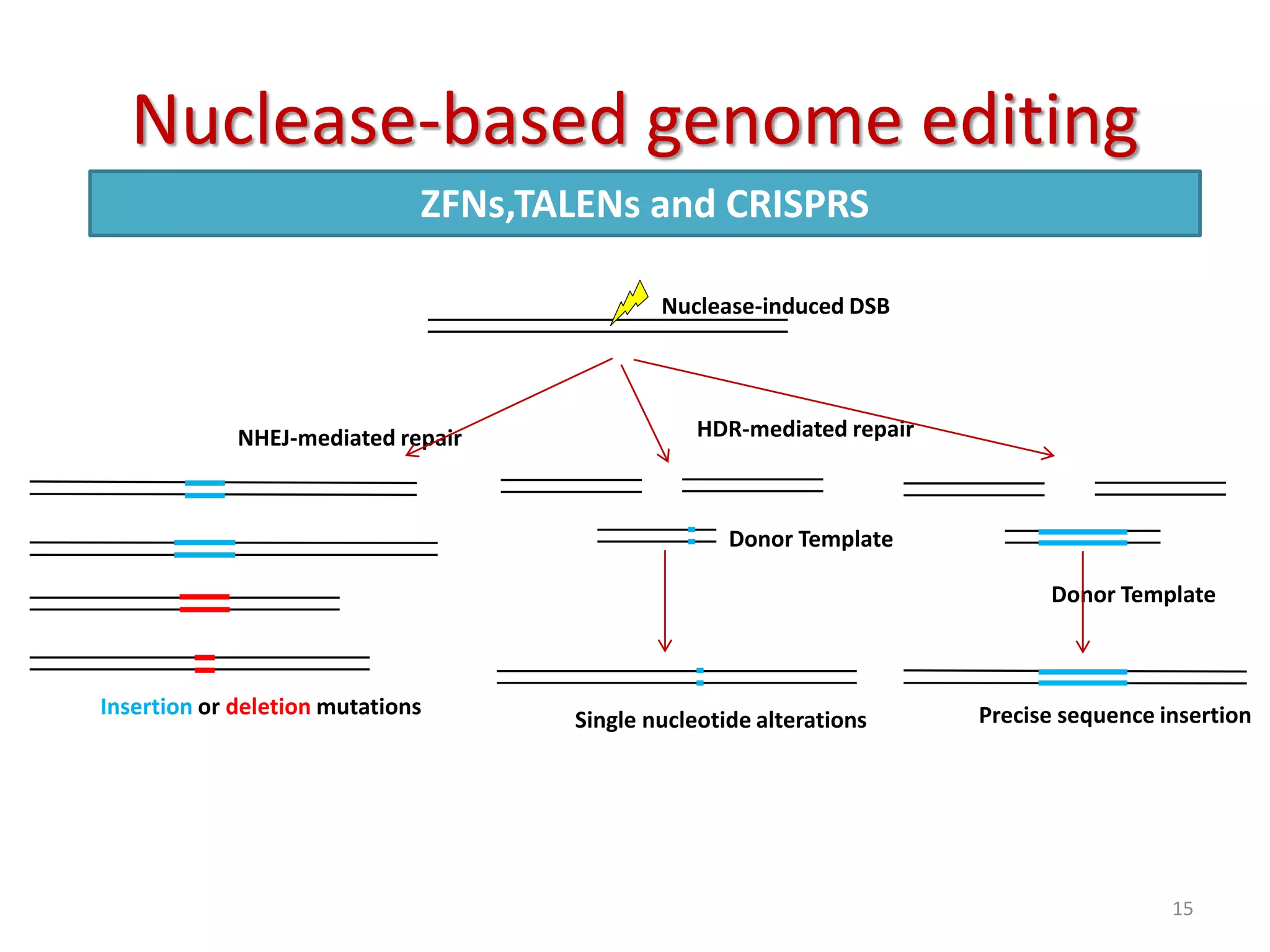 Genem Editing ویرایش ژنوم Genome editing tools | PPTX