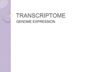 TRANSCRIPTOME GENOME EXPRESSION 