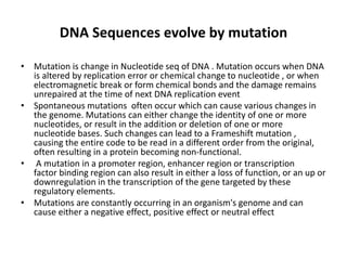 Genome evolution discussion questions | PPTX