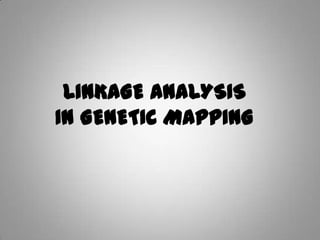 LINKAGE ANALYSIS
IN GENETIC MAPPING
 