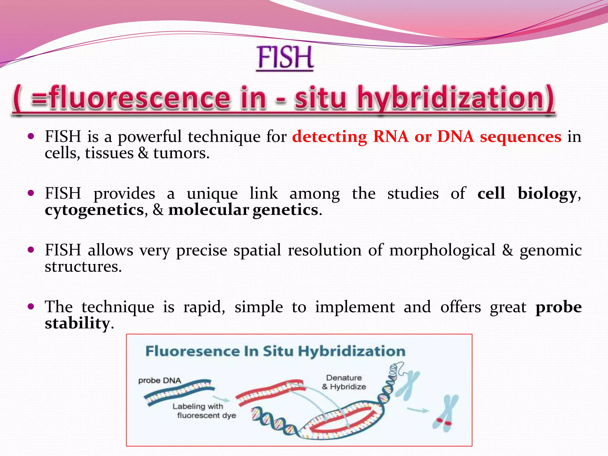  FISH is a powerful technique for detecting RNA or DNA sequences in
cells, tissues & tumors.
 FISH provides a unique link among the studies of cell biology,
cytogenetics, & molecular genetics.
 FISH allows very precise spatial resolution of morphological & genomic
structures.
 The technique is rapid, simple to implement and offers great probe
stability.
 