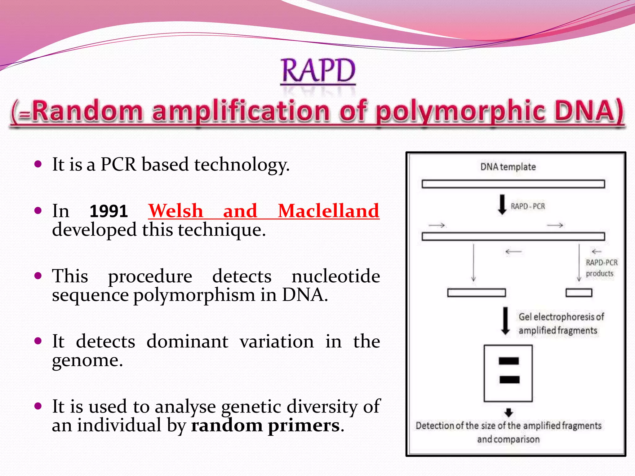  It is a PCR based technology.
 In 1991 Welsh and Maclelland
developed this technique.
 This procedure detects nucleotide
sequence polymorphism in DNA.
 It detects dominant variation in the
genome.
 It is used to analyse genetic diversity of
an individual by random primers.
 