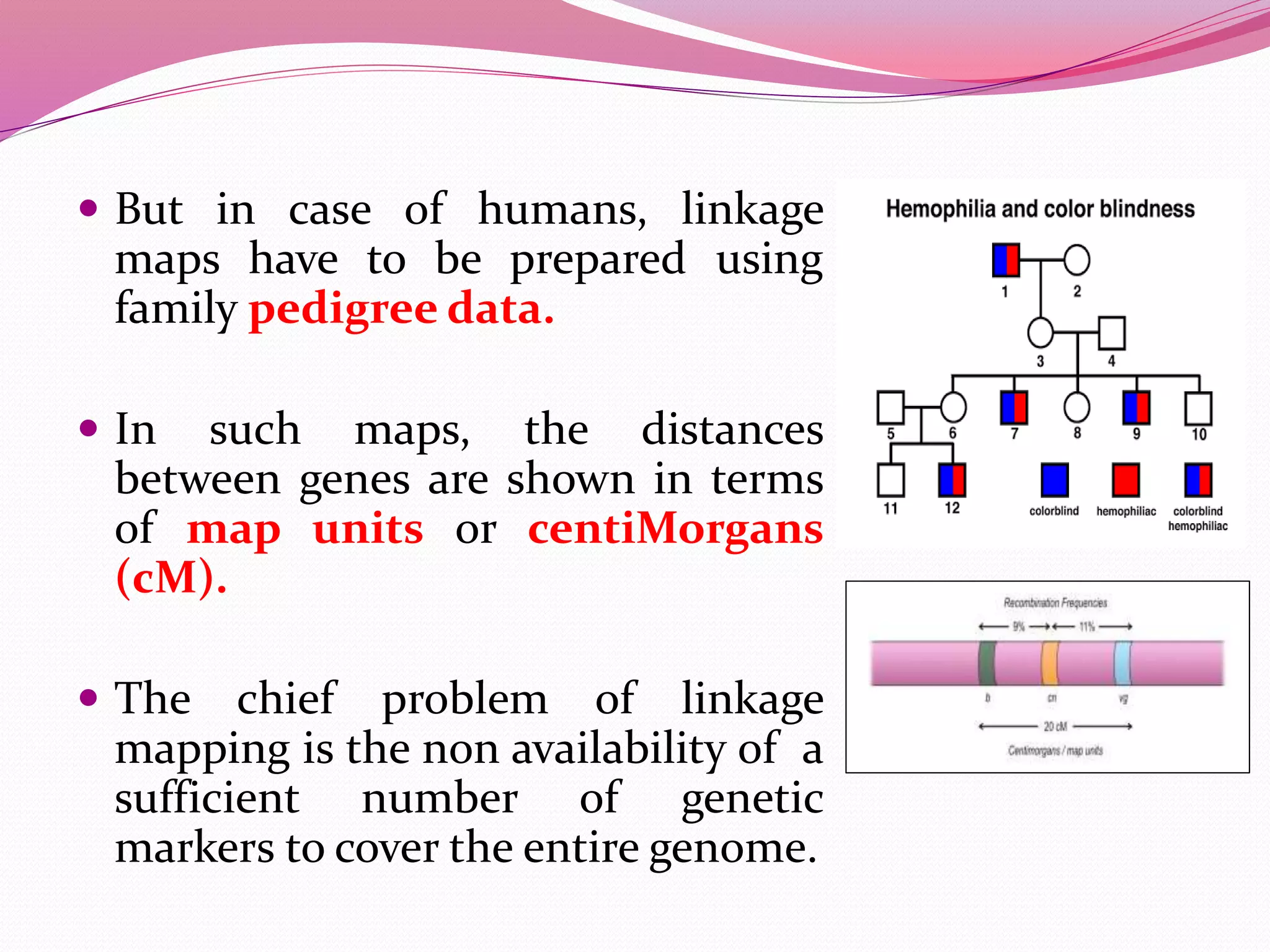  But in case of humans, linkage
maps have to be prepared using
family pedigree data.
 In such maps, the distances
between genes are shown in terms
of map units or centiMorgans
(cM).
 The chief problem of linkage
mapping is the non availability of a
sufficient number of genetic
markers to cover the entire genome.
 