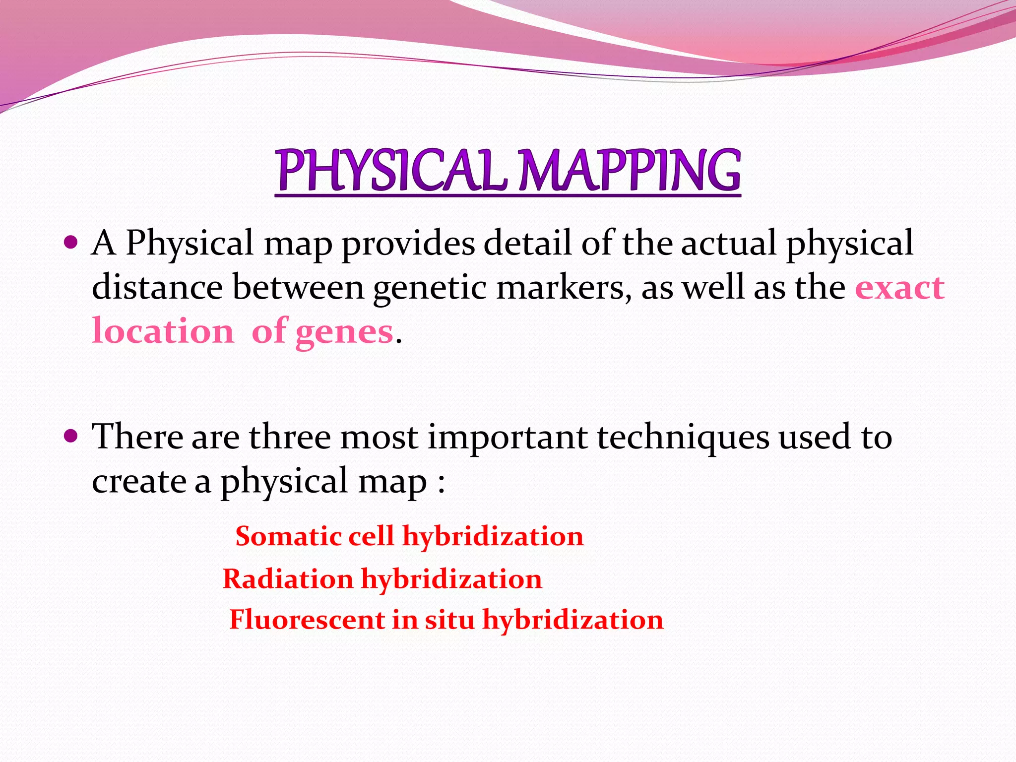  A Physical map provides detail of the actual physical
distance between genetic markers, as well as the exact
location of genes.
 There are three most important techniques used to
create a physical map :
Somatic cell hybridization
Radiation hybridization
Fluorescent in situ hybridization
 