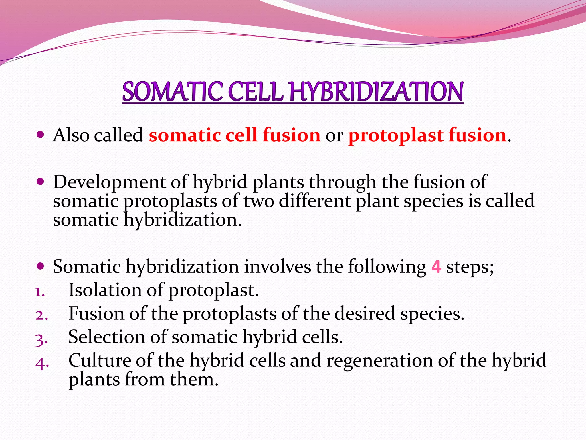  Also called somatic cell fusion or protoplast fusion.
 Development of hybrid plants through the fusion of
somatic protoplasts of two different plant species is called
somatic hybridization.
 Somatic hybridization involves the following 4 steps;
1. Isolation of protoplast.
2. Fusion of the protoplasts of the desired species.
3. Selection of somatic hybrid cells.
4. Culture of the hybrid cells and regeneration of the hybrid
plants from them.
 