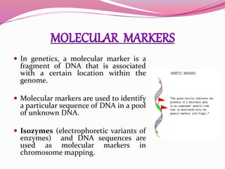  In genetics, a molecular marker is a
fragment of DNA that is associated
with a certain location within the
genome.
 Molecular markers are used to identify
a particular sequence of DNA in a pool
of unknown DNA.
 Isozymes (electrophoretic variants of
enzymes) and DNA sequences are
used as molecular markers in
chromosome mapping.
 