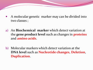  A molecular genetic marker may can be divided into
two classes ;
a) An Biochemical marker which detect variation at
the gene product level such as changes in proteins
and amino acids.
b) Molecular markers which detect variation at the
DNA level such as Nucleotide changes, Deletion,
Duplication.
 