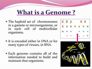  The haploid set of chromosomes
in a gamete or microorganisms, or
in each cell of multicellular
organisms.
 It is encoded either in DNA or for
many types of viruses, in RNA.
 Each genome contains all of the
information needed to build and
maintain that organisms.
 