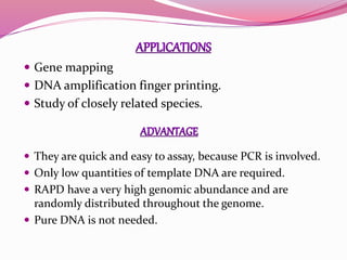  Gene mapping
 DNA amplification finger printing.
 Study of closely related species.
 They are quick and easy to assay, because PCR is involved.
 Only low quantities of template DNA are required.
 RAPD have a very high genomic abundance and are
randomly distributed throughout the genome.
 Pure DNA is not needed.
 