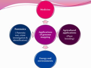 Applications
of genome
mapping
Medicine
Agricultural
applications
(Plant
breeding)
Energy and
environments
Forensics
( Paternity
test, crime
investigation &
identification)
 