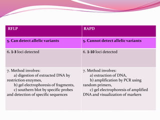 5. Can detect allelic variants 5. Cannot detect allelic variants
6. 1-3 loci detected 6. 1-10 loci detected
7. Method involves:
a) digestion of extracted DNA by
restriction enzymes,
b) gel electrophoresis of fragments,
c) southern blot by specific probes
and detection of specific sequences
7. Method involves:
a) extraction of DNA,
b) amplification by PCR using
random primers,
c) gel electrophoresis of amplified
DNA and visualization of markers
RFLP RAPD
 