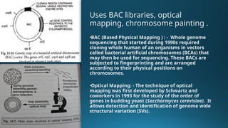 Comprehensive Genome Mapping Techniques and Challenges in Polyploid ...