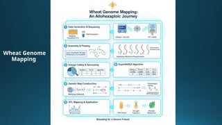 Comprehensive Genome Mapping Techniques and Challenges in Polyploid ...