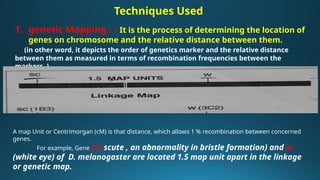 Comprehensive Genome Mapping Techniques and Challenges in Polyploid ...