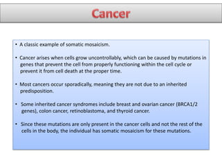 • A classic example of somatic mosaicism.
• Cancer arises when cells grow uncontrollably, which can be caused by mutations in
genes that prevent the cell from properly functioning within the cell cycle or
prevent it from cell death at the proper time.
• Most cancers occur sporadically, meaning they are not due to an inherited
predisposition.
• Some inherited cancer syndromes include breast and ovarian cancer (BRCA1/2
genes), colon cancer, retinoblastoma, and thyroid cancer.
• Since these mutations are only present in the cancer cells and not the rest of the
cells in the body, the individual has somatic mosaicism for these mutations.
 