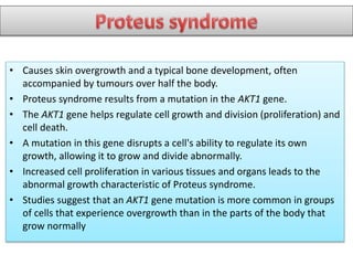 • Causes skin overgrowth and a typical bone development, often
accompanied by tumours over half the body.
• Proteus syndrome results from a mutation in the AKT1 gene.
• The AKT1 gene helps regulate cell growth and division (proliferation) and
cell death.
• A mutation in this gene disrupts a cell's ability to regulate its own
growth, allowing it to grow and divide abnormally.
• Increased cell proliferation in various tissues and organs leads to the
abnormal growth characteristic of Proteus syndrome.
• Studies suggest that an AKT1 gene mutation is more common in groups
of cells that experience overgrowth than in the parts of the body that
grow normally
 