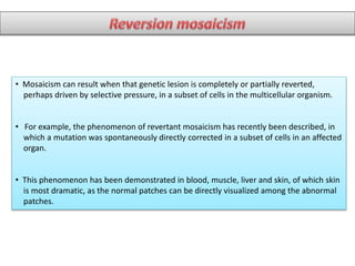 • Mosaicism can result when that genetic lesion is completely or partially reverted,
perhaps driven by selective pressure, in a subset of cells in the multicellular organism.
• For example, the phenomenon of revertant mosaicism has recently been described, in
which a mutation was spontaneously directly corrected in a subset of cells in an affected
organ.
• This phenomenon has been demonstrated in blood, muscle, liver and skin, of which skin
is most dramatic, as the normal patches can be directly visualized among the abnormal
patches.
 