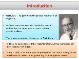 • GENOME - The genome is the genetic material of an
organism.
• MOSAICISM - Mosaicism is a condition in which
cells within the same person have a different
genetic makeup.
• The phenomenon was discovered by Curt Stern.
• In 1936, he demonstrated that recombination, normal in meiosis, can
also take place in mitosis.
• When it does, it results in somatic (body) mosaics. These are organisms
which contain two or more genetically distinct types of tissue.
 
