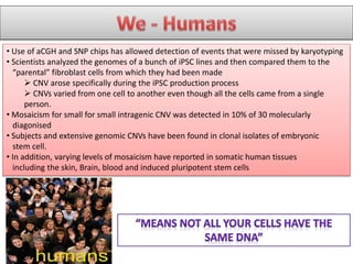 • Use of aCGH and SNP chips has allowed detection of events that were missed by karyotyping
• Scientists analyzed the genomes of a bunch of iPSC lines and then compared them to the
“parental” fibroblast cells from which they had been made
 CNV arose specifically during the iPSC production process
 CNVs varied from one cell to another even though all the cells came from a single
person.
• Mosaicism for small for small intragenic CNV was detected in 10% of 30 molecularly
diagonised
• Subjects and extensive genomic CNVs have been found in clonal isolates of embryonic
stem cell.
• In addition, varying levels of mosaicism have reported in somatic human tissues
including the skin, Brain, blood and induced pluripotent stem cells
 